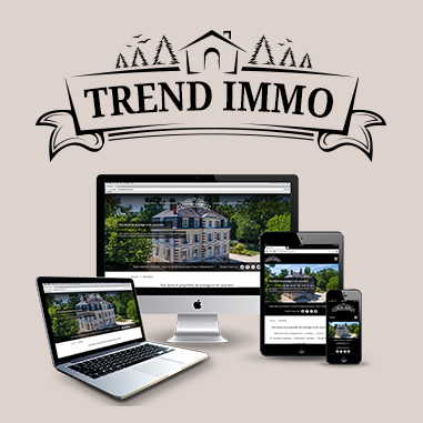 Webdesign : site de l'agence immobilière Trend-immo