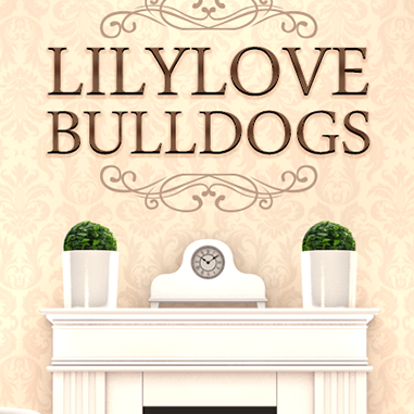Webdesign : lilylove bulldog
